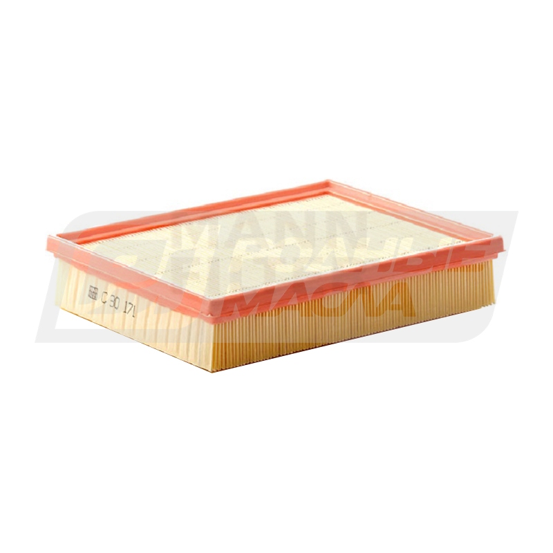 MANN C 30 171 (A-SSangYong 2319021001) C30171